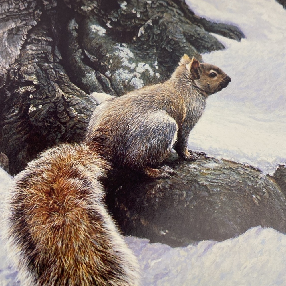 Portraits of nature paintings by Robert Bateman book - Picture 9 of 13